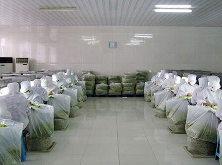 Jiangsu Zhenya Biotechnology Co.,Ltd.